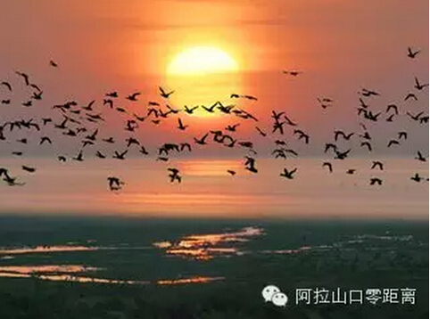 QQ截圖20150716085204.jpg