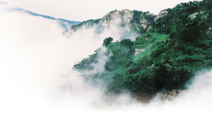 云中花果山