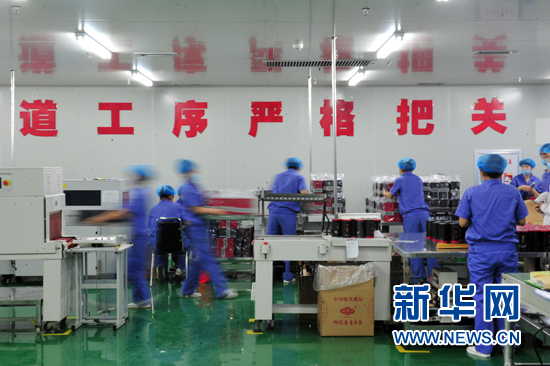 寧夏開通“網上絲綢之路” 中阿貿易走進“E時代”
