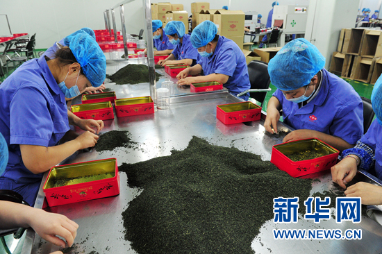 寧夏開通“網上絲綢之路” 中阿貿易走進“E時代”