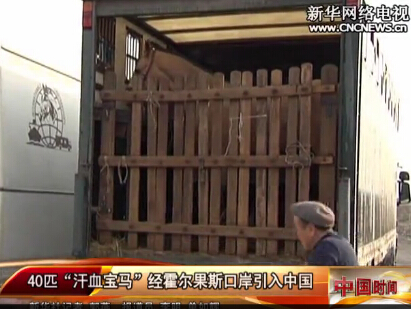 中國進口汗血寶馬 汗血寶馬是絲綢之路上的一個傳說