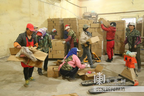 滿洲里國際物流中心內，工人們正在篩選準備出口的蘋果。東北網記者王忠巖攝