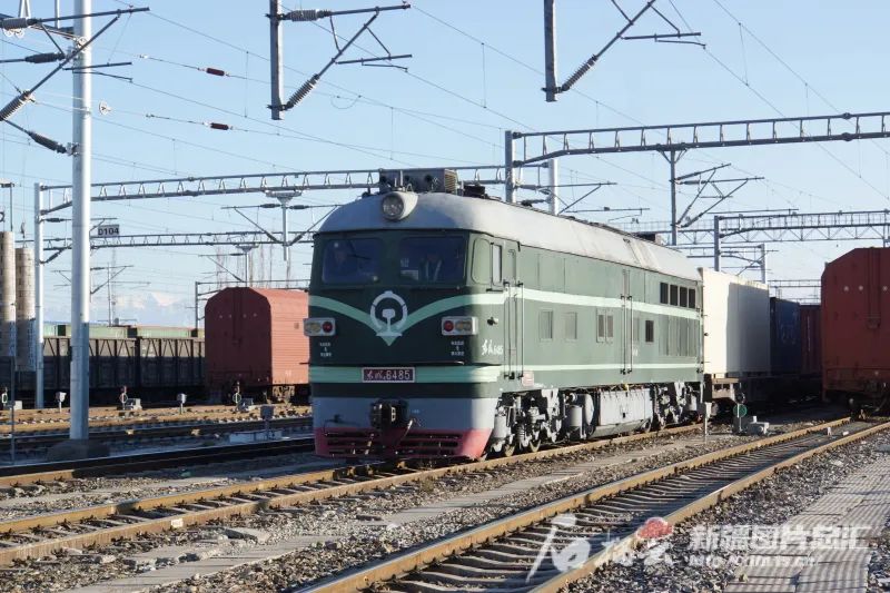 596.jpg