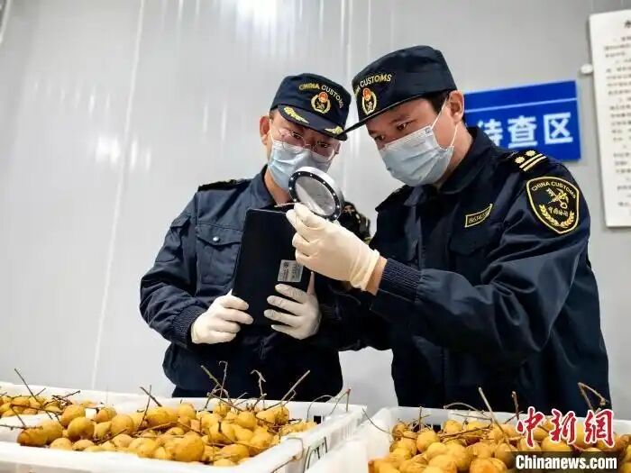 QQ圖片20250208100015.jpg